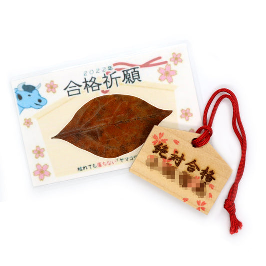 合格祈願セット